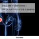 Causas y síntomas de la artrosis de cadera por el Dr. Lluís Puig Verdié traumatólogo experto en cadera y rodilla en Barcelona